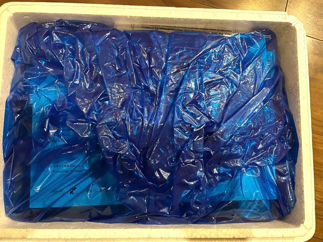 サカナクション　LIVE FISH COMPLETE BOX