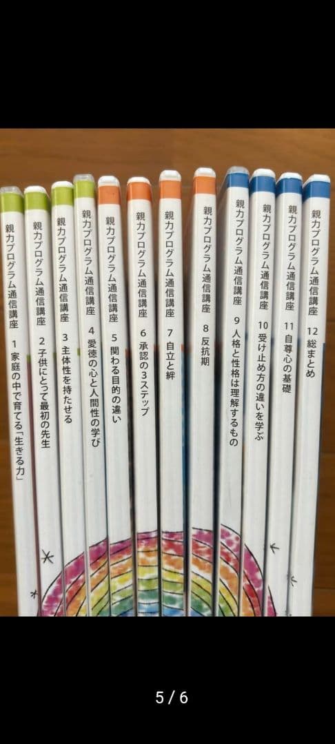 親力プログラム DVD 12枚セット